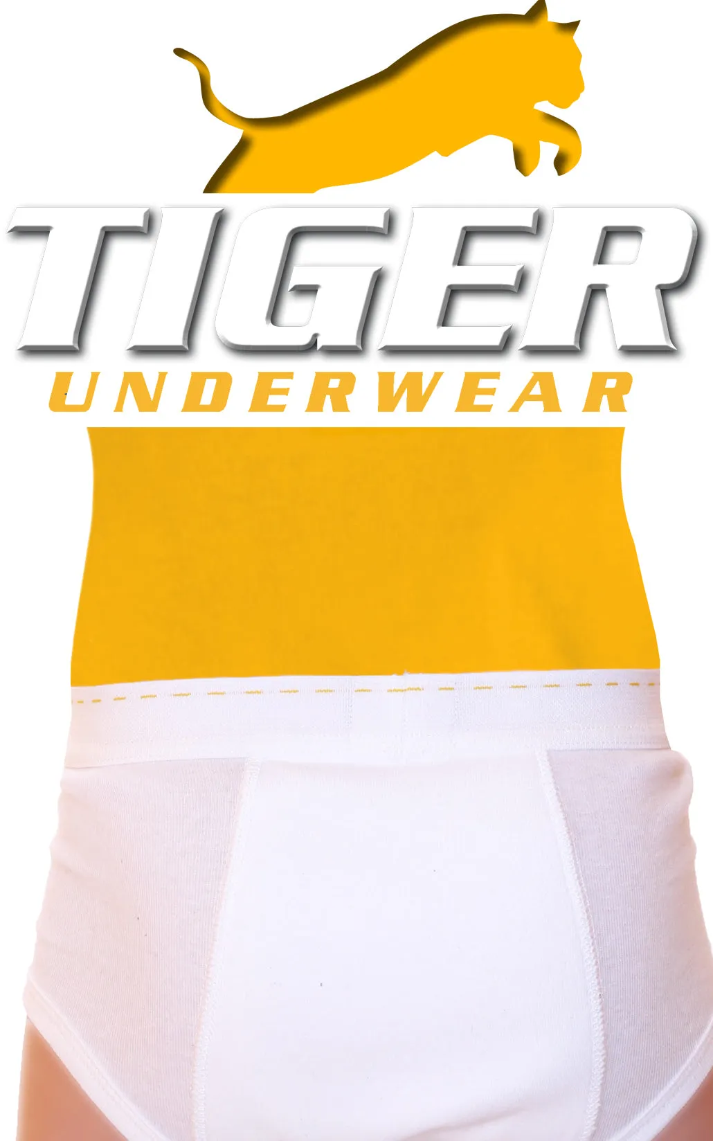 2012 Boys Tiger Extra Thick Training Brief