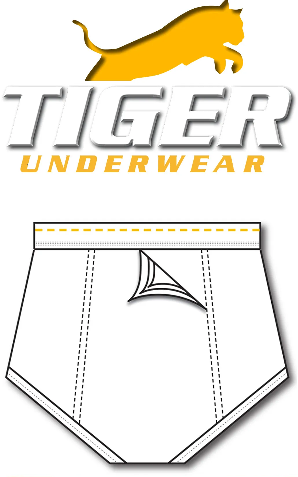 2012 Boys Tiger Extra Thick Training Brief