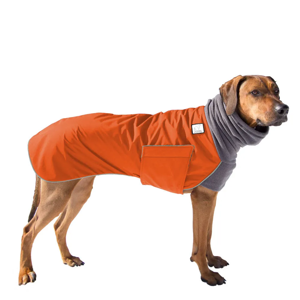 Rhodesian Ridgeback Winter Coat